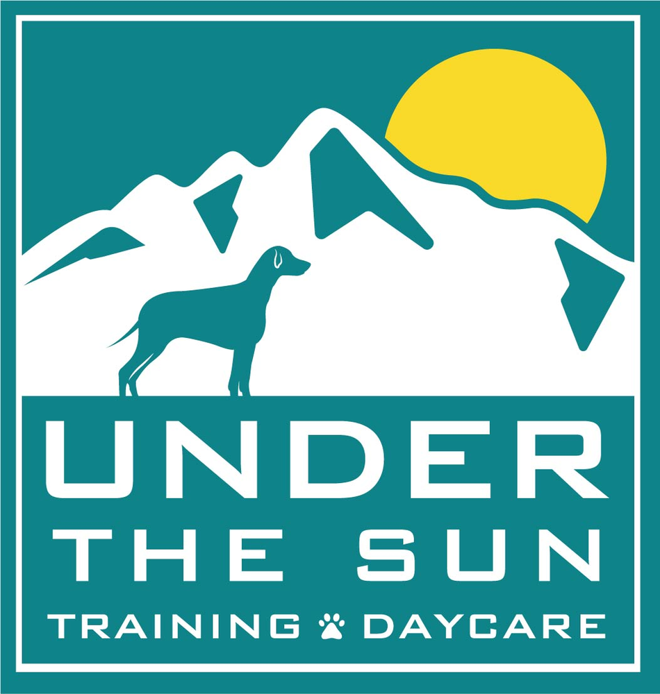 Under the Sun Training Daycare